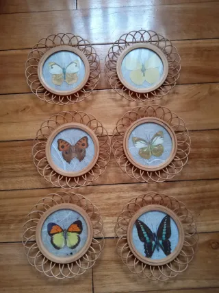 6 Posavasos Vintage Mariposas