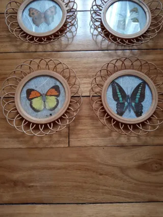 6 Posavasos Vintage Mariposas