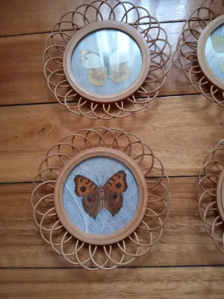 6 Posavasos Vintage Mariposas
