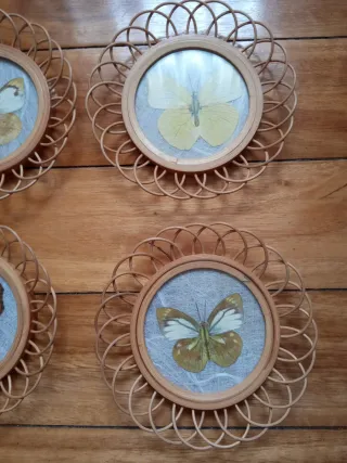 6 Posavasos Vintage Mariposas