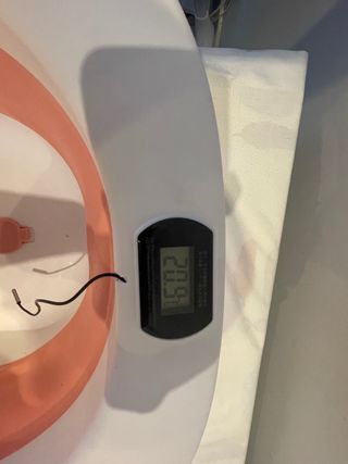 Bañera Plegable Bebé con Termómetro