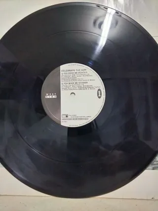 Vinilo Celebrate The Nun  - You Make Me Wonder