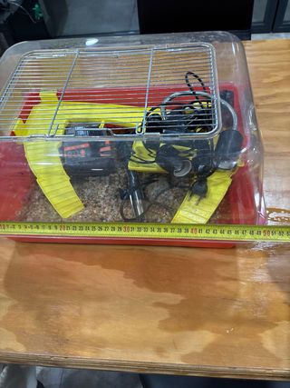 Tortuguera Plástico con Filtro y Termostato