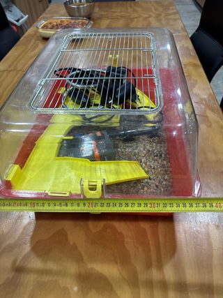 Tortuguera Plástico con Filtro y Termostato