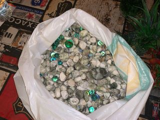 Decoración Acuario: Plantas y Rocas