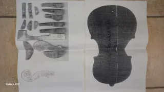 Modelli per liuteria