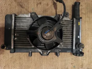 Radiador Kymco venox 250 2005