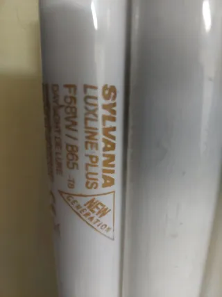 8 Tubos Fluorescentes Philips 58W 150cm