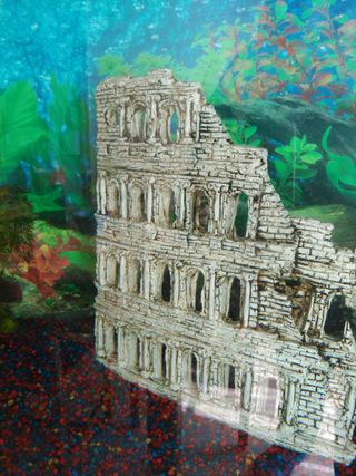 2 Acuarios con Mueble (120 y 300 L).