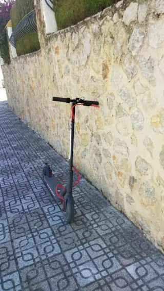 Patinete Eléctrico Xiaomi