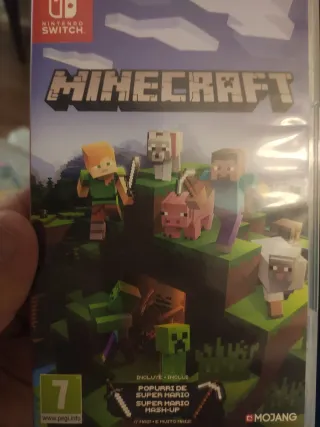 Minecraft Nintendo Switch