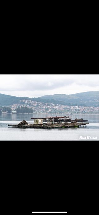 se vende barco de batea