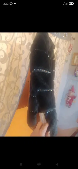 Bellissima Pelliccia Nera