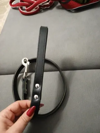 Guinzaglio in pelle Hunter