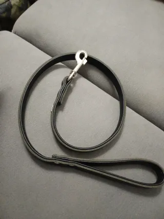 Guinzaglio in pelle Hunter