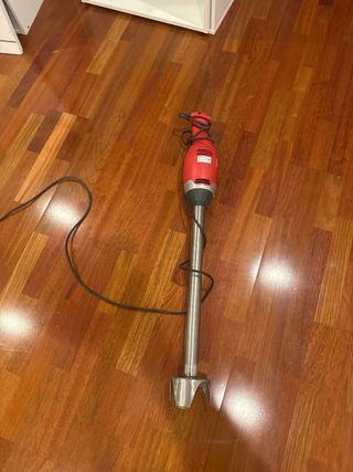 Batidora profesional Sammic con brazo de 57cm