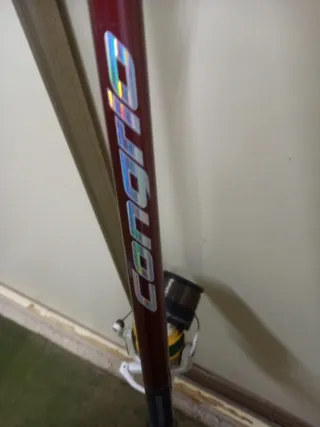 Conjunto Caña y Carrete Pesca Congrio