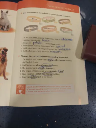 INCREIBLE JOURNEY ESO2 ACTIVITY