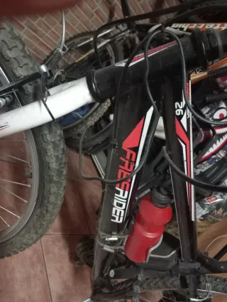Bicicleta de Montaña Freerider