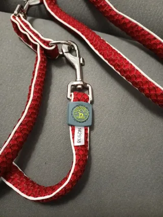 Guinzaglio Hunter rosso con bande riflettenti