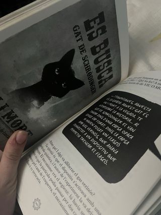 La porta dels tres panys