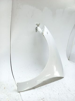 ALETA DELANTERA IZQUIERDA CITROEN C3 (4)