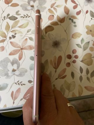 iPhone 6s Plus per parti