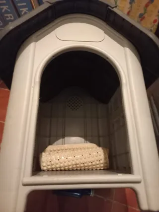 Caseta perro juntos o separados