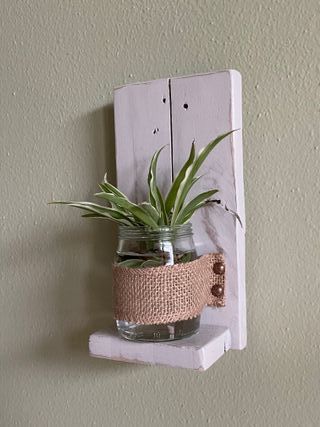 Vaso in legno da parete Beige