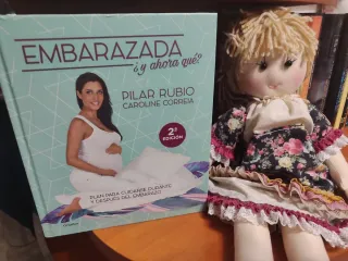 Libro Embarazo: Embarazada, y ahora qué?