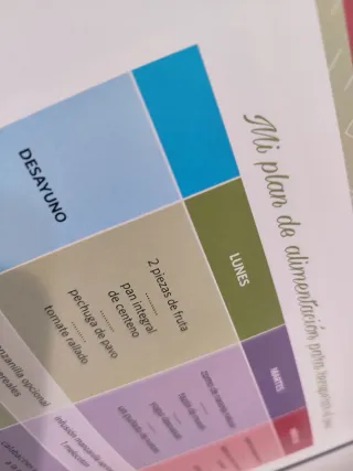 Libro Embarazo: Embarazada, y ahora qué?