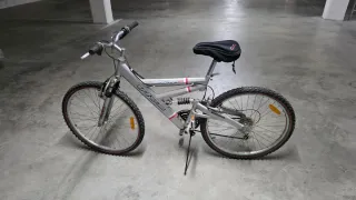 Bicicleta Marca VIVA