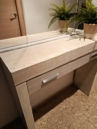 Distribuidor de entrada