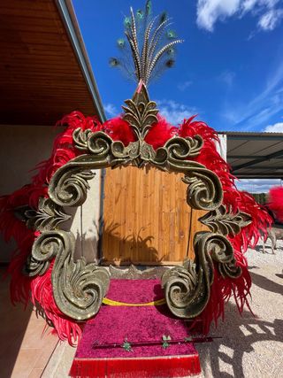 1200 plumas de gallo de color rojo