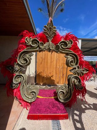 1200 plumas de gallo de color rojo