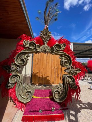 1200 plumas de gallo de color rojo
