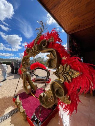 1200 plumas de gallo de color rojo