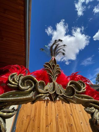 1200 plumas de gallo de color rojo