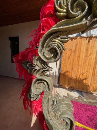 1200 plumas de gallo de color rojo