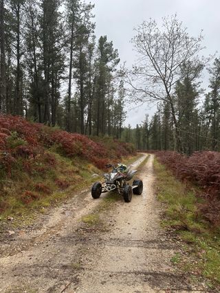 Gas Gas Wild HP 450 Quad