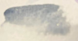 Acuarelas artesanales granuladas