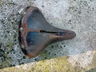 Sella bici in pelle. Nera