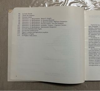 Libro Obiettivo su Manfredonia 1994