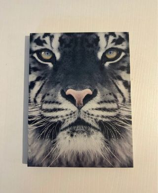 Quadro Tigre Bianco e Nero