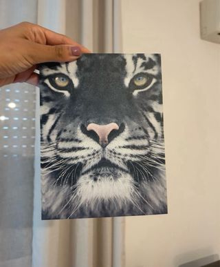 Quadro Tigre Bianco e Nero