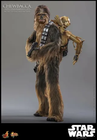 Hot Toys Chewbacca con C-3PO 1/6