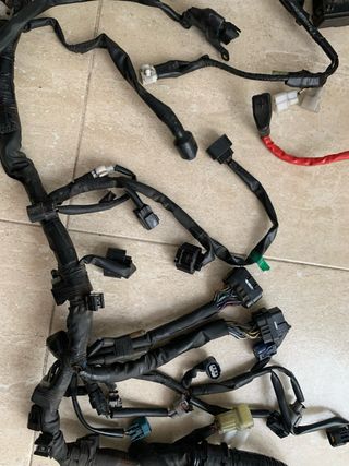 Mazo de cables Yamaha MT-09