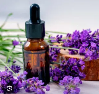 Aceite de la medicina india en venta