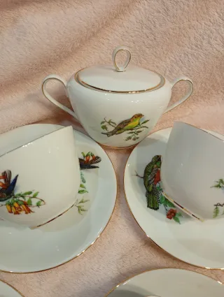 Set di 9 tazze e piatti in porcellana fine PMR Bavaria Jaeger & Co