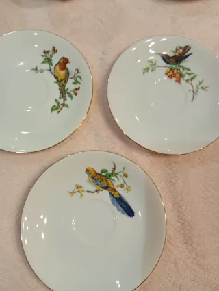 Set di 9 tazze e piatti in porcellana fine PMR Bavaria Jaeger & Co